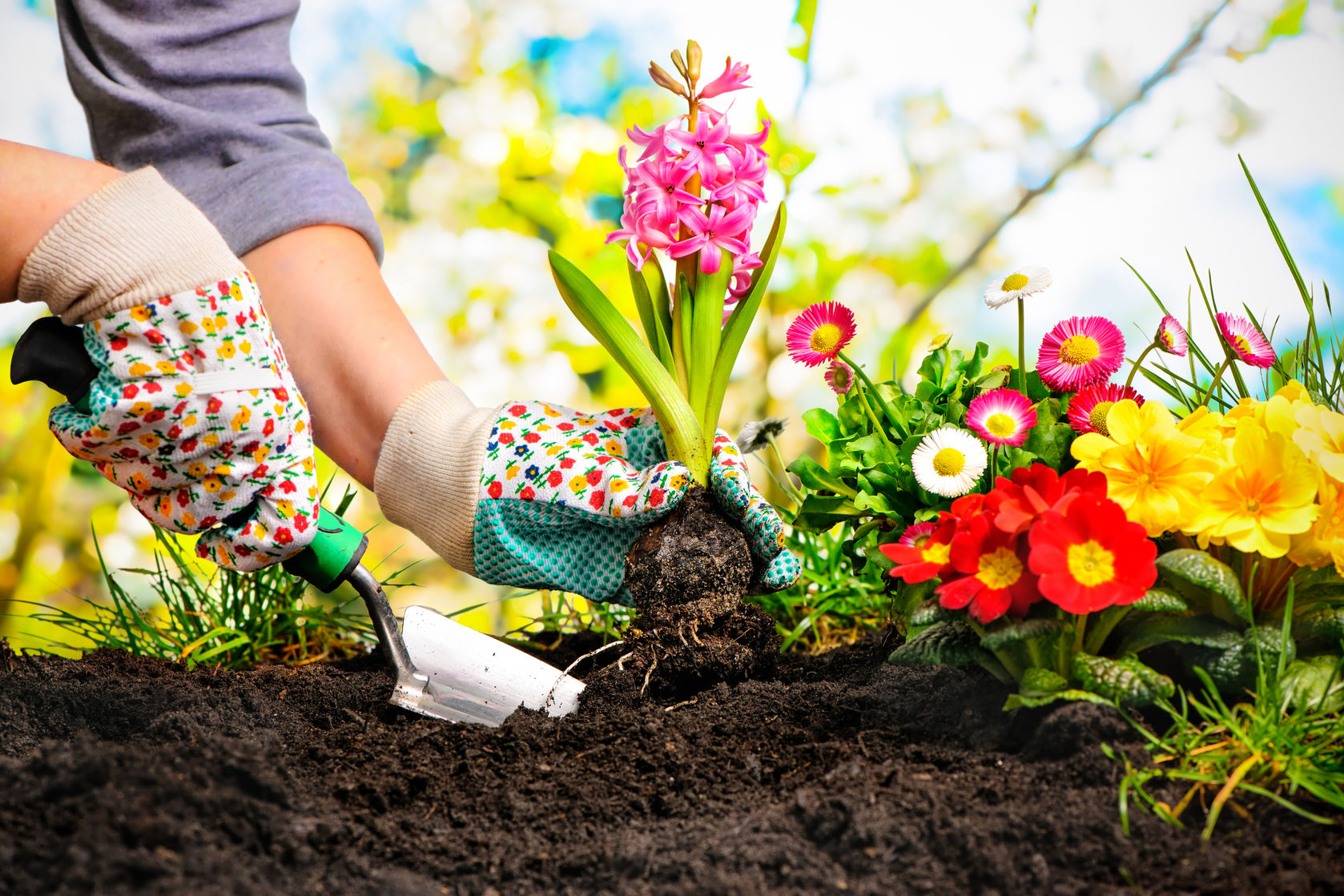 4 Easy Ways to Transform Your Garden in Time for Spring